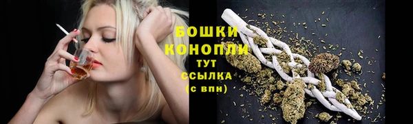 бошки Касимов