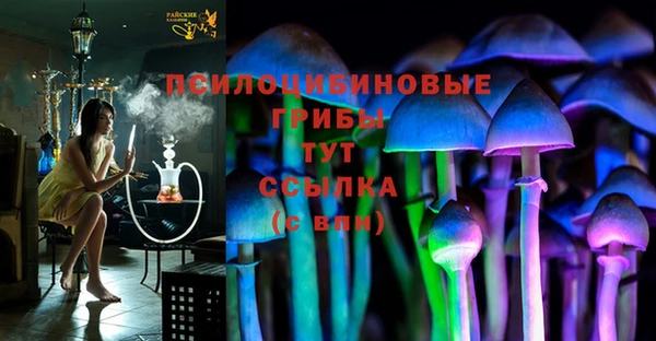 не бодяженный Гусь-Хрустальный