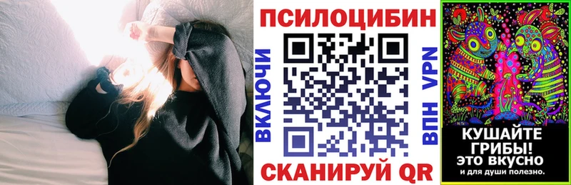 Псилоцибиновые грибы Cubensis  закладка  Дальнереченск 
